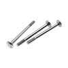 Stainless Steel SUS304 SUS316 DI N603 Carriage Bolts with Square Neck under Head 