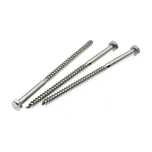 Hex Lag Screws with special head 