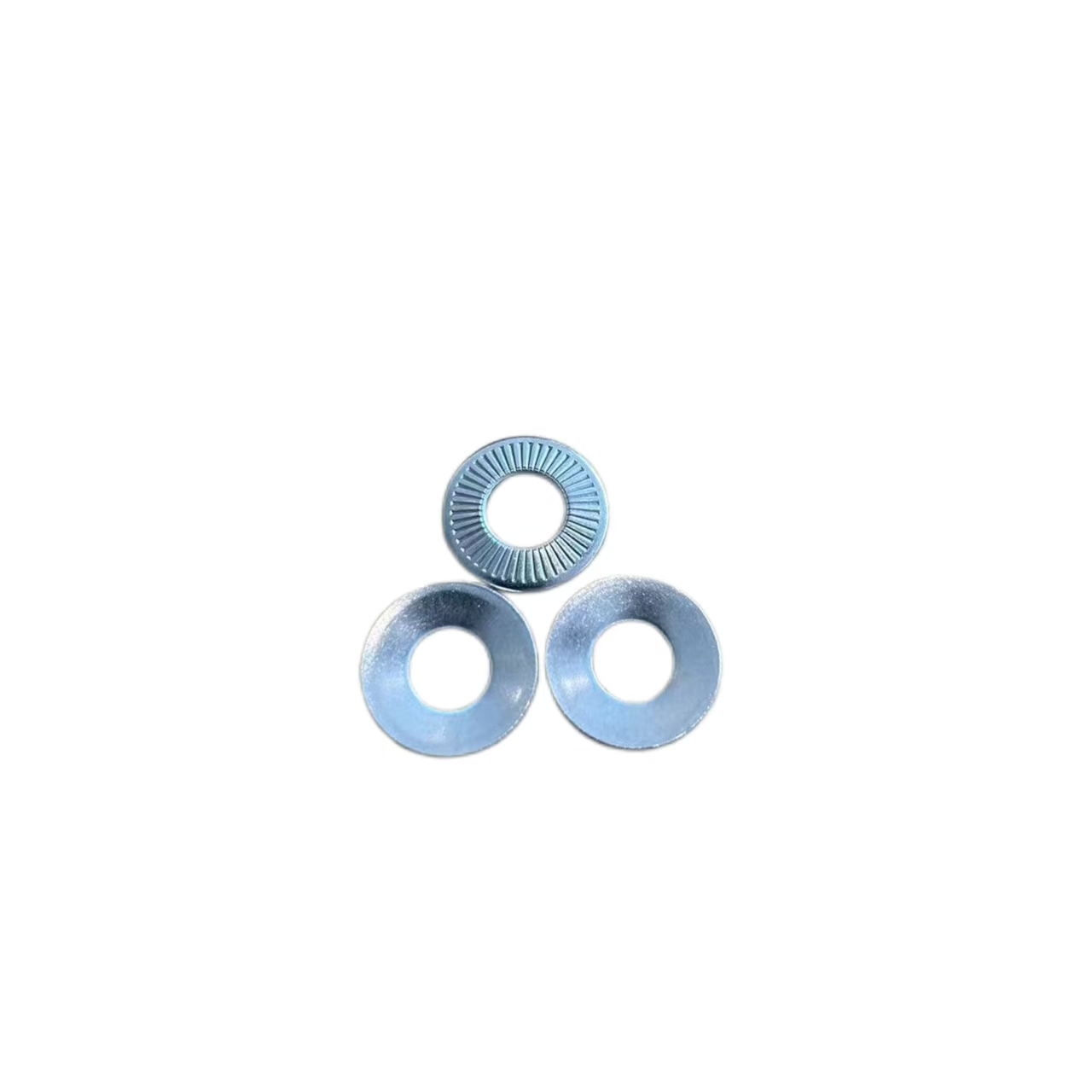 Stainless Steel SUS304 SUS316 NFE25511 French Washers 