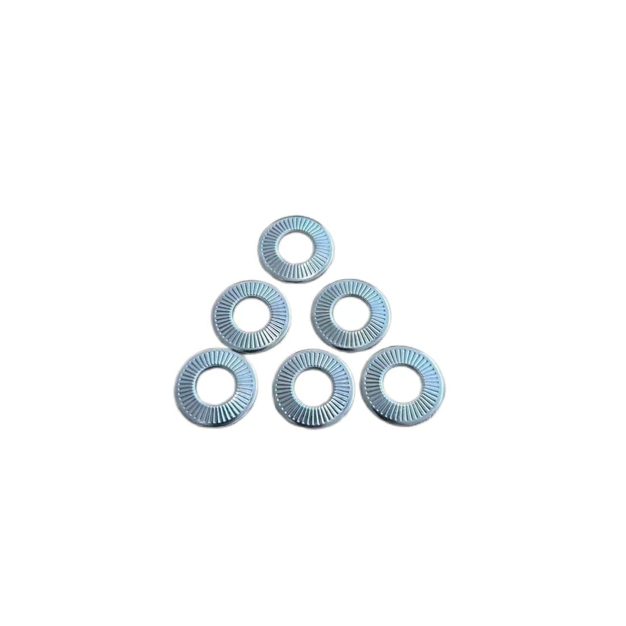 Stainless Steel SUS304 SUS316 NFE25511 French Washers 