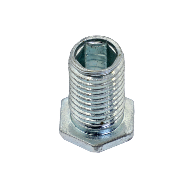Special bolt with socket head 