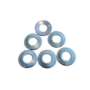 Stainless Steel SUS304 SUS316 NFE25511 French Washers 