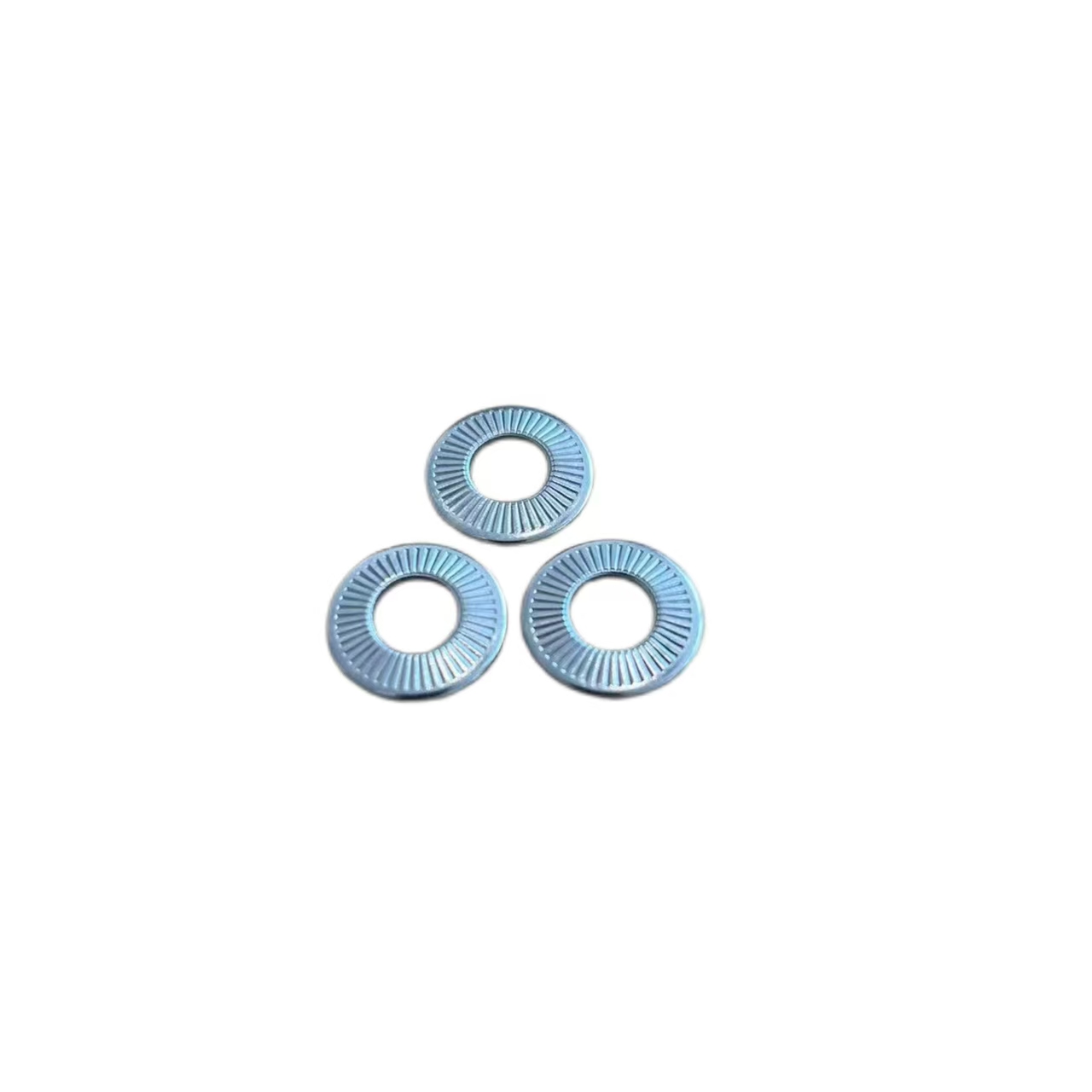 Stainless Steel SUS304 SUS316 NFE25511 French Washers 